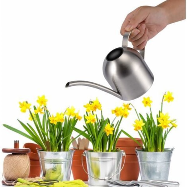 Rustfrit stålvandkande 1000 ml Blomsterstøvningskande Metalvandkande til indendørs planter Havevandkande Blomsterstøvningskande Sølv