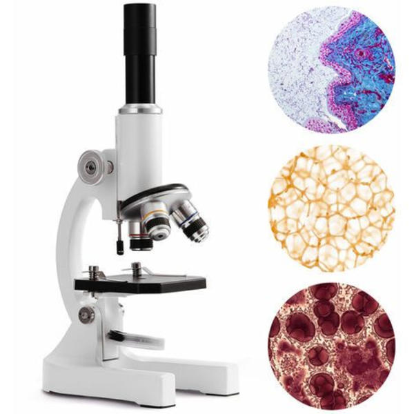 64X-2400X Monokulaarinen optinen mikroskooppi Ala-asteen lapset Tieteellinen kokeellinen biologia Opetusmikroskooppi Lasten syntymäpäivälahjat