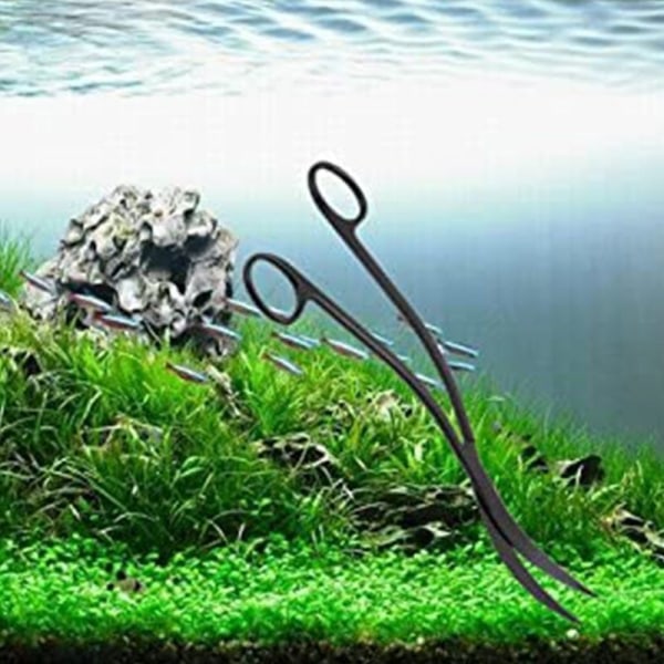 Akvarium Terrarium Sax Karboniserat Rostfritt Stål Svart