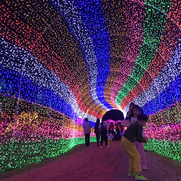 100M 600 LED-ljusslingor Utomhus Karneval Bröllop Inomhus Trädgård Belysning