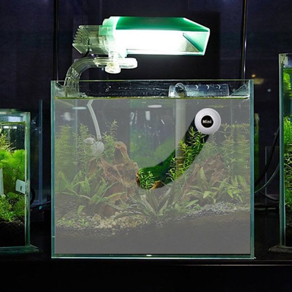 Akvariemagnetisk borste Akvarierengörare Mini Bärbar Vit