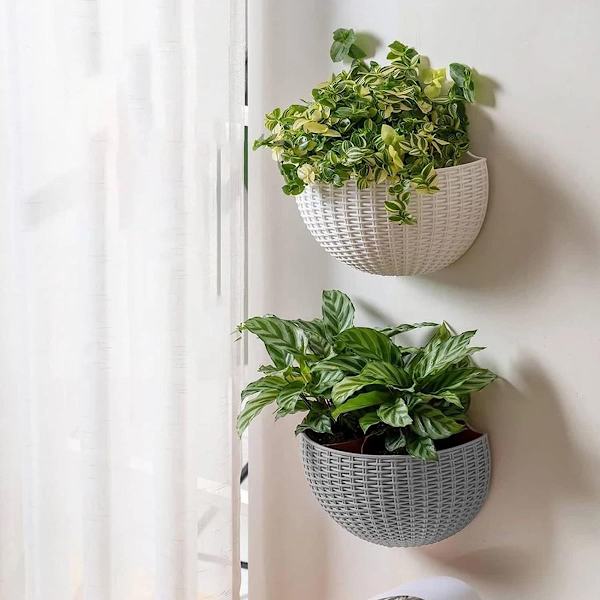 Kruka med dräneringshål, krokplanter, hängande korg, trädgård, heminredning, bröllop Ku
