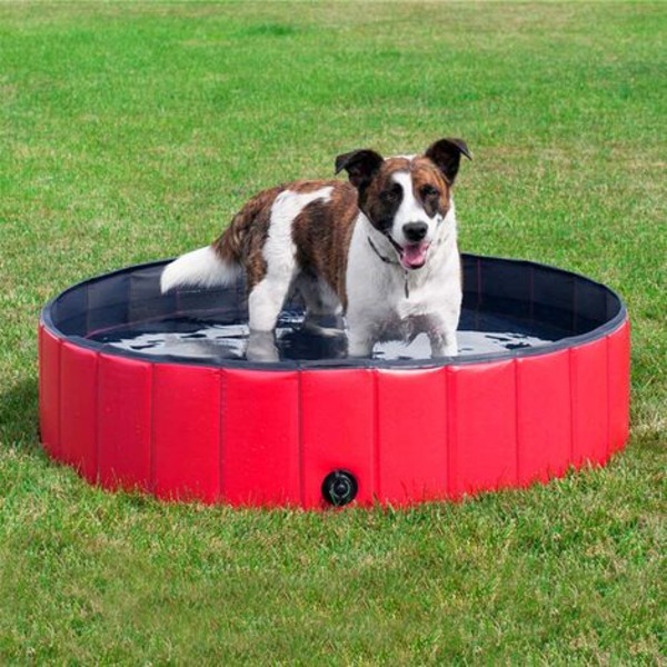 Hopfällbar hundpool 120 x 30 cm badkar bärbar badbalja husdjursbad utomhus inomhus halkfri röd