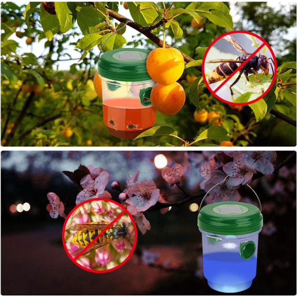 Solar hvepsefælde med LED lys, insektfælder, anti-insektfanger honningfælde Bier Hornets Myg Drosophila til indendørs udendørs have