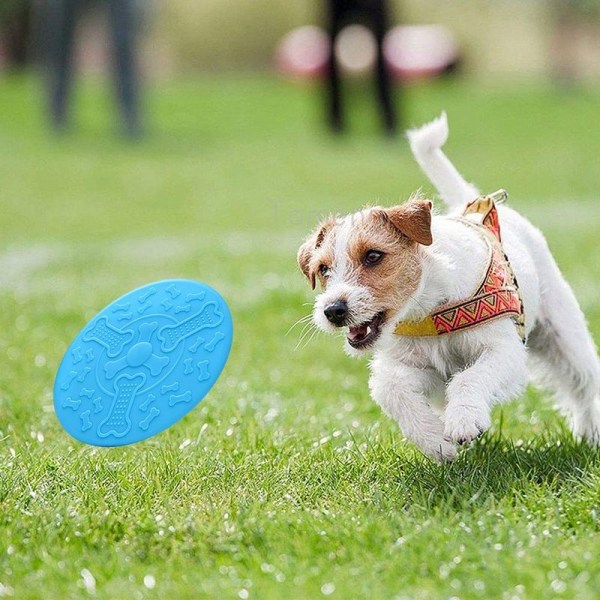 Koiran frisbeet, koiran lelu Frisbee, kuminsininen