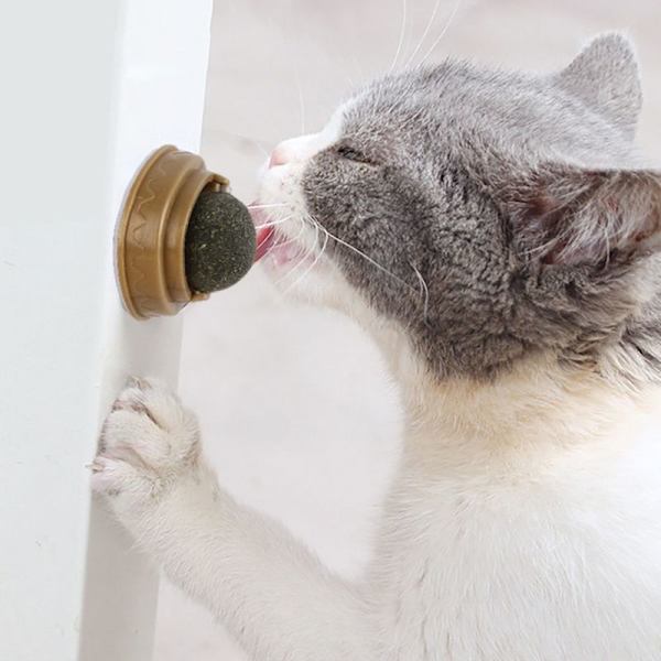 Kattdoftande leksak, roterande kattmyntaboll, säker och hälsosam