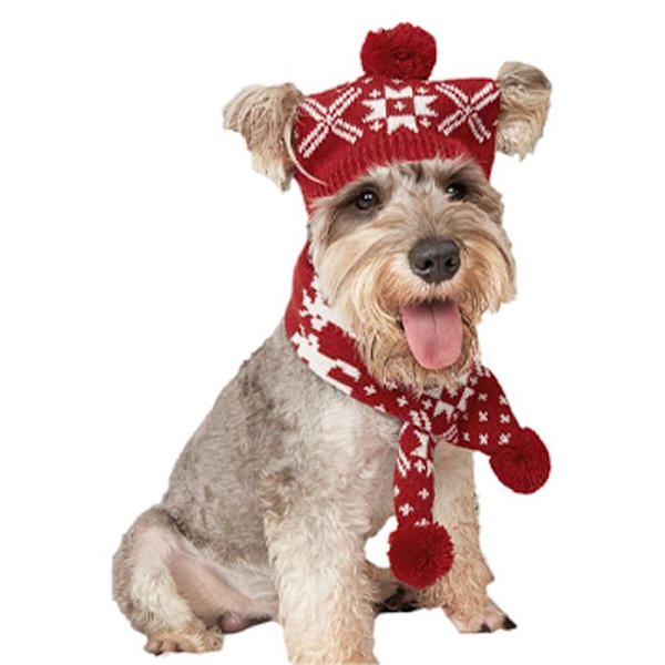 Julekostume til hund med hue og strikket halstørklæde - Sødt kæledyrskostume Form2