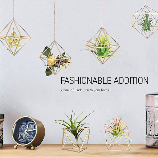 12 kpl:n ilmakasvitelineen mini metallipöytäkoriste, moderni geometrinen istutuskone, Tillandsia-näyttöteline
