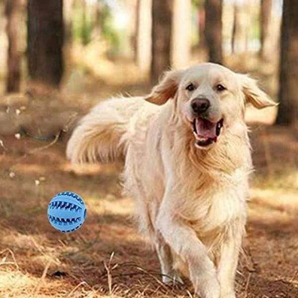 2 st hundboll med tandvårdsknoppar hund leksak gjord Mörkblå + Orange