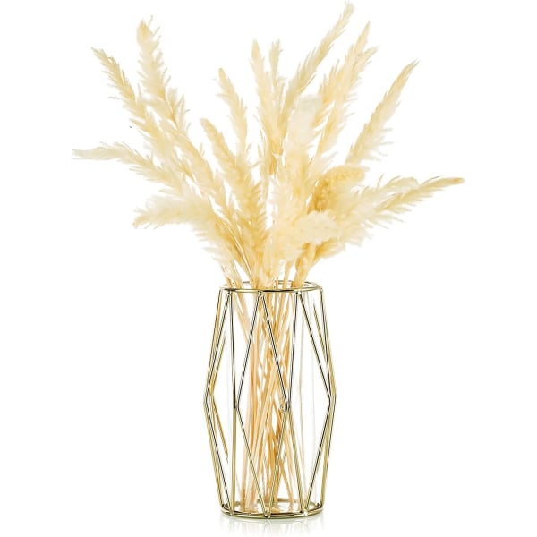 Vase til græs, guldglasvase med geometrisk metalstativ, urtepotte til skandinavisk indretning, centerpiece til kontor, bryllup