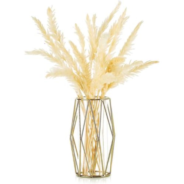 Vase til græs, guldglasvase med geometrisk metalstativ, urtepotte til skandinavisk indretning, centerpiece til kontor, bryllup