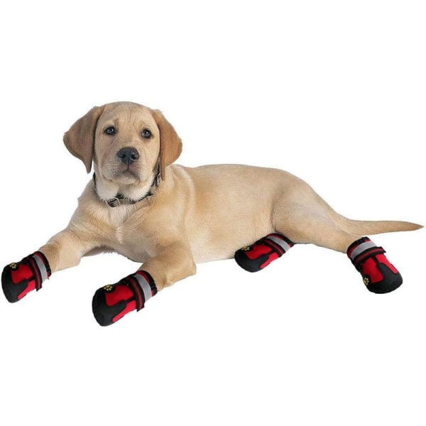 Liukumattomat koiran kengät säädettävällä ja punaisella tassusuojalla