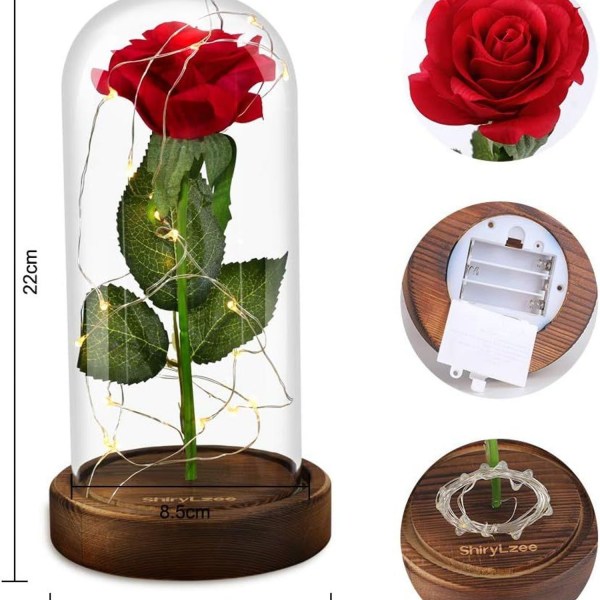Skjønnheten og udyret Rose morsdagsgave, Rose Glasskuppel