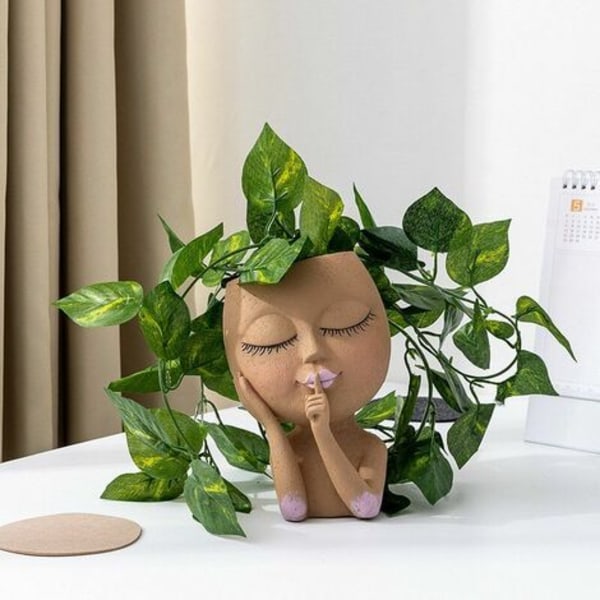 Ansigtskrukke - Hovedkrukke, Sukkulentkrukker, Ansigtsblomst Pot Hovedkrukke, Haveindretning til indendørs og udendørs planter med