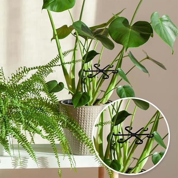 Växtstöd - Klätterväxtstöd, Inomhusklätterväxter, Monstera Blad Växtstöd