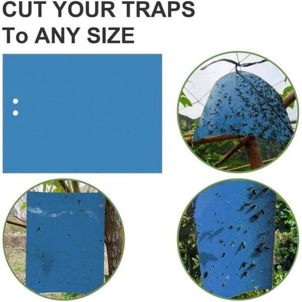 40 st insektsfällor, dubbelsidiga klibbiga fällor, insektsfällor, blå dubbelsidig flugfälla, blått anti-insekts papper