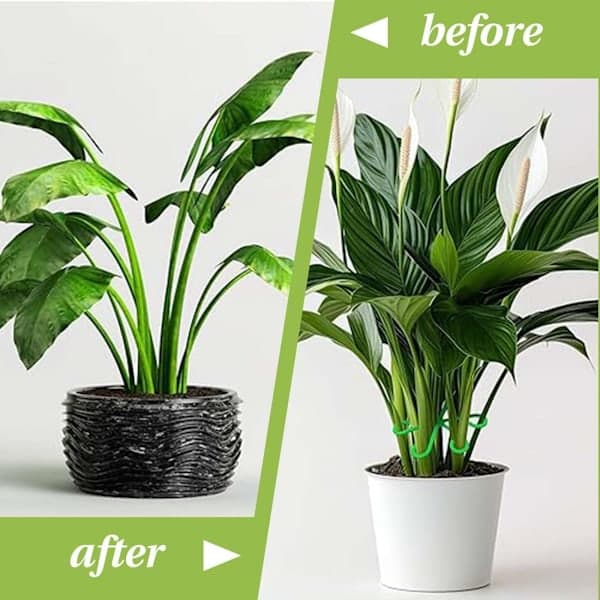 Växtstöd - Klätterväxtstöd, Inomhusklätterväxter, Monstera Blad Växtstöd