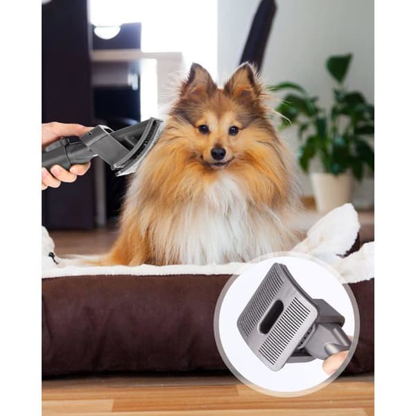 Katt- og hundehårbørste for Dyson V6 støvsuger, med 1 forlengelsesslange og adapter, 2 utløserlåser