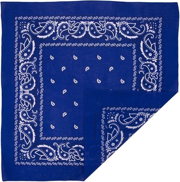 Stor bomullspaisleybandana (22\" x 22\")
