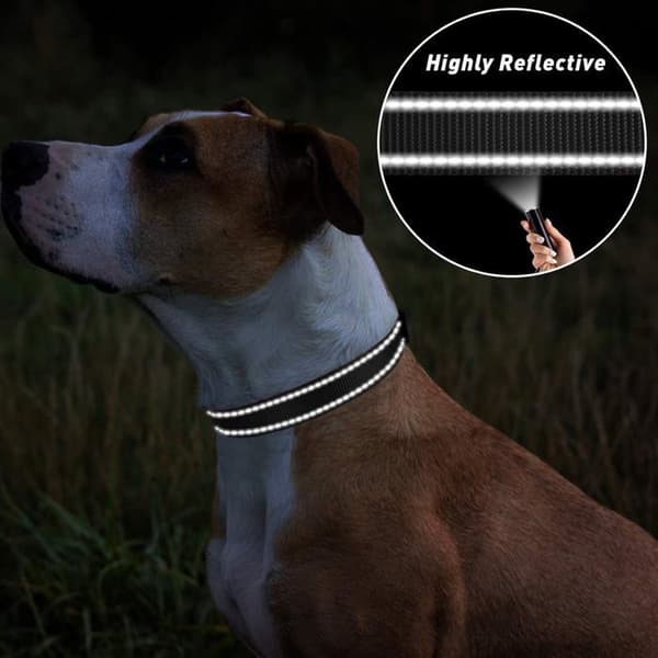 Hundehalsbånd, justerbart klassisk reflekterende nylonhalsbånd egnet til små hunde, sort, 2,0 cm bredde (S, 30-40 cm)