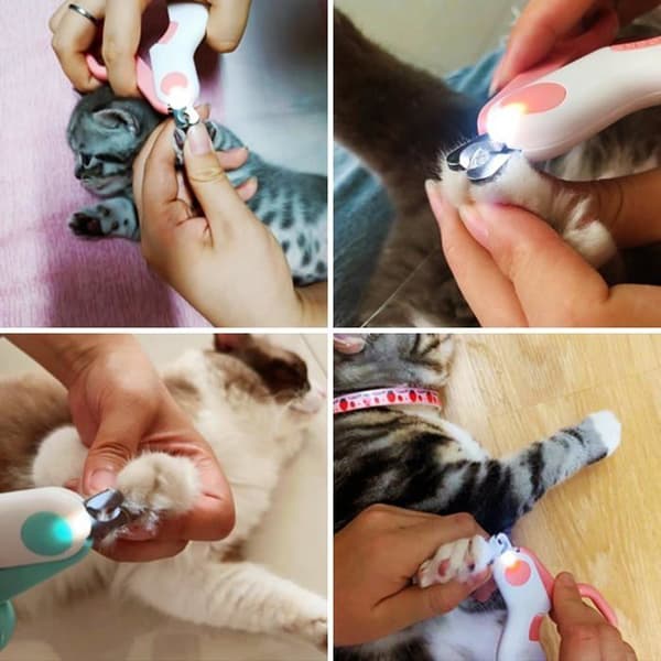 LED negleklipper til kæledyr, katte og hunde, forbedrede negleklippere til trimning af dit kæledyrs negle (blå)