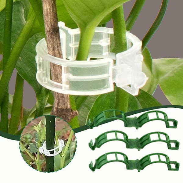 Säkert plastväxtklämma Multifunktionell växtklämma för blommor Grönsaker Vit 50 st White 50Pcs
