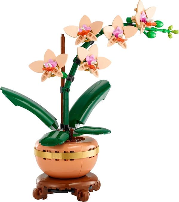Orkidé, julegaveideer til kvinner og menn som liker planter, Blomstermodell, julegave til voksne