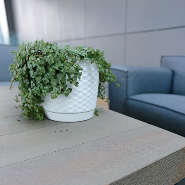 1,2L RATOLLA Rund Blomkruka 145x145x127 mm, Mocca