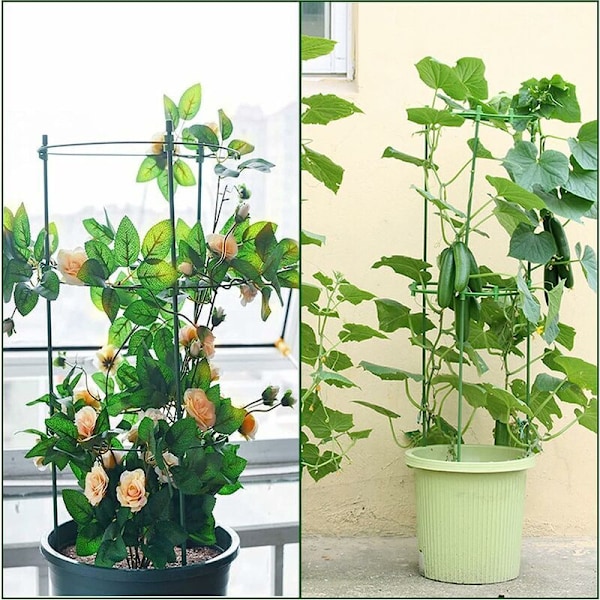 3-pack Klätterväxtstöd med 3 Justerbara Stödringar 45 cm