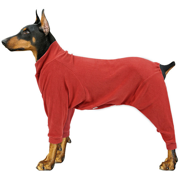 Hundkläder Höst och Vinter Guldbrun Mellanstor Hund Stor Hund Husdjurskläder xs