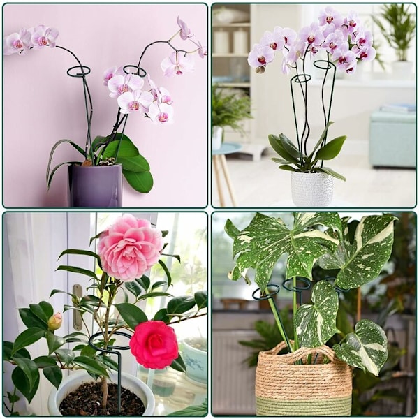 Stöd och hållare för trädgård 10-pack växtpinnar 16 \"/ 40cm Metallväxtpinnar, Stabila trädgårdspinnar för enstaka stjälkar med 750 st