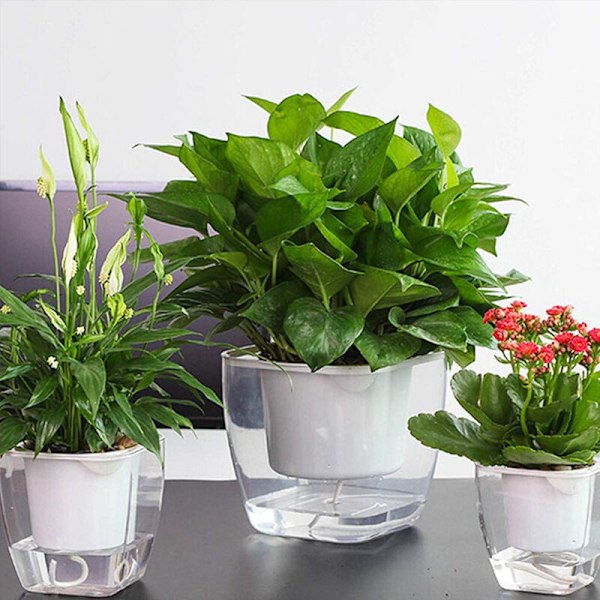 Självbevattnande Blomkruka/Växtkruka - Liten