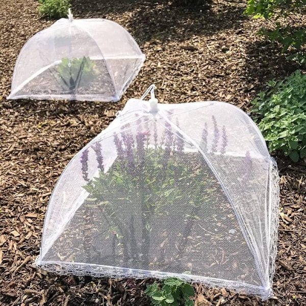 4-pack Flugskydd Mat Tältöverdrag Mat Nät Skydd Anti-Flugnät Vikbart Tält Kakeöverdrag Anti Insekter Kakeöverdrag Vikbart Anti-Fluga Matöverdrag