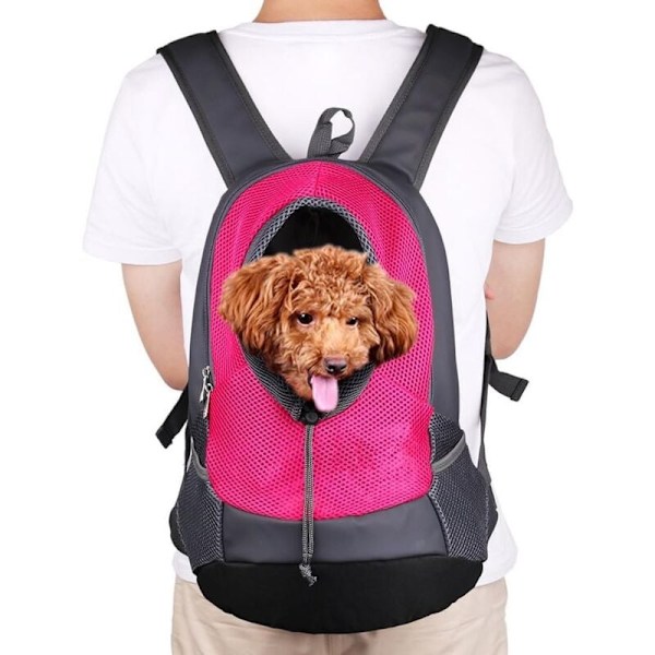 Husdjursbärare Ryggsäck för Liten Hund Katt Valp (8 kg Max) På-Resande-Fot Resa Husdjur Fram Bak Luftgenomsläpplig Väska Mjuk Mesh Valp Pack 42 x 38 x 20 cm - ros r
