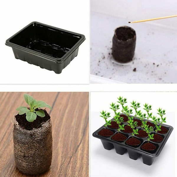 5-pack Fröstartbricka, Mini Växthus för Fröplantor, Odlingstråg med Lock, Trädgårdsfröförökare för Fröstart och Odling, Hållbart Växthus Ger