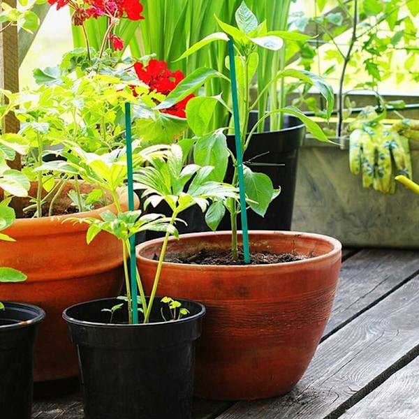 50 st 38 cm Gröna Växtstödspinnar för Blommor med 50 st Trädgårdsslipsar