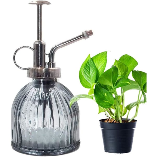 Växtspruta, Sprayflaska Glas Blomma Vattensprayflaska