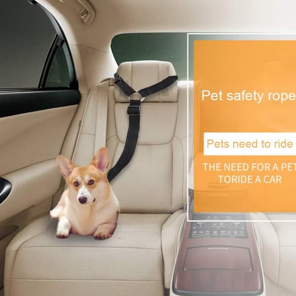 Justerbart hundebelte for reise, daglig bruk, svart, 2 stk