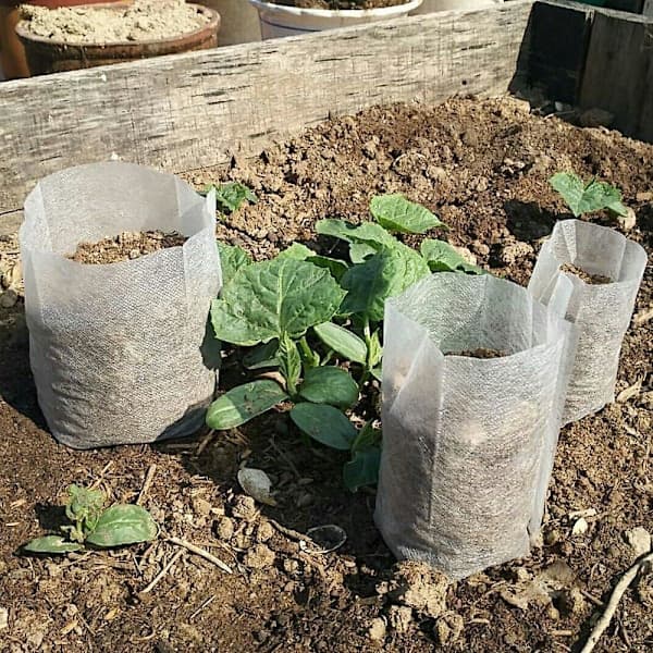 100 st 12x13cm Biologiskt Nedbrytbara Växtpåsar Vävd Fabr Växtkrukor för Plantering