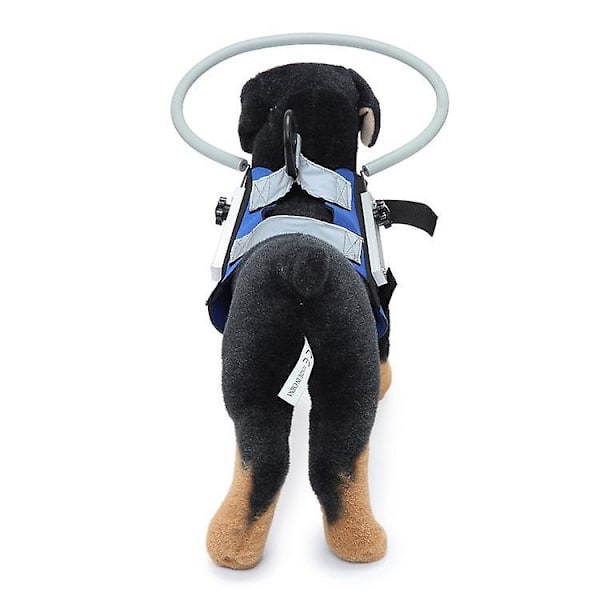 Sele til blinde hunde Beskyttende vest Hunde Forebygger kollisionsring