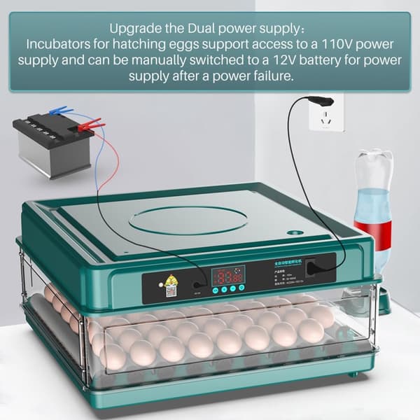 Automatisk egginkubator, i stand til å klekke 12 til 15 egg, med effektiv LED-belysning, automatisk eggvending og fuktighetskontroll.