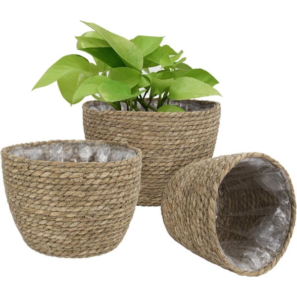 Sjögräs Korg för Inomhus- och Utomhusbruk, Blomkrukor Lock, Växtbehållare, Naturlig (3-pack)