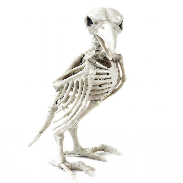 Halloween crow skeleton decoration Halloween decoration