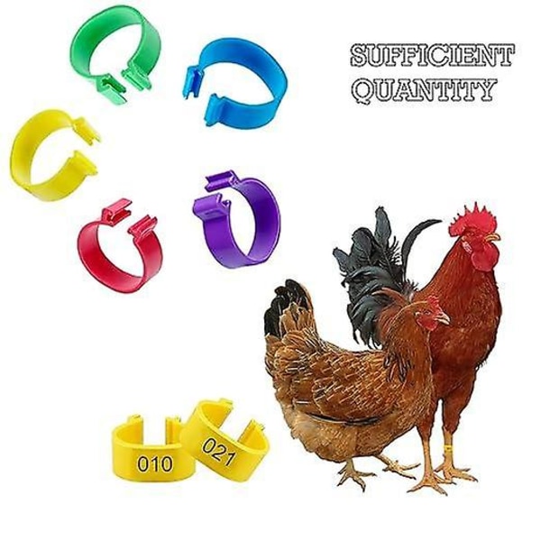 Kyckling Ring Benringar Identifiering 20 mm Plast Färgade Kycklingband Fotringar för Fjäderfäben, Chi