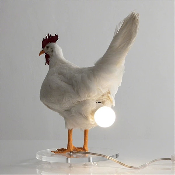 Kylling LED Lampe Egg Nattlys Utstoppet Egg Bordlampe