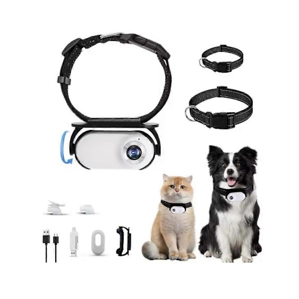 Catcam Pro, Katt Cam Pro 2.0, HD 1080p Videokamera Mini Halsbandskamera - Perfekt White