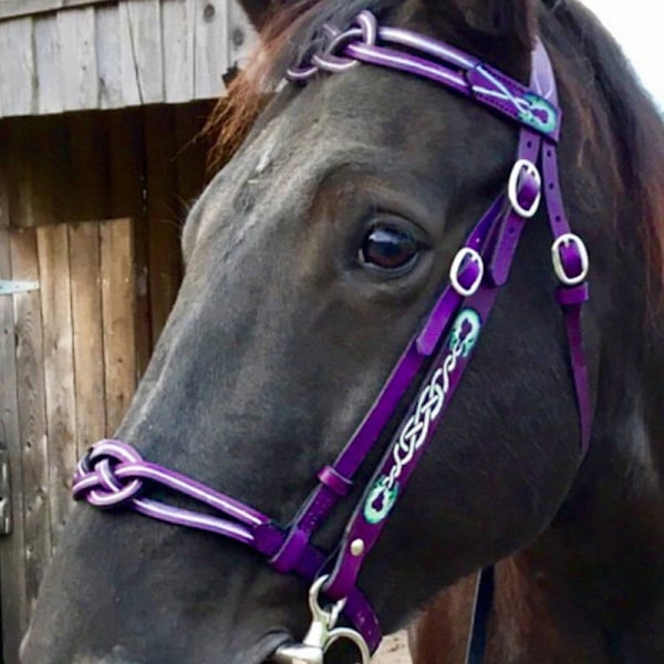 Grimma och ledrep för häst, PU-läder grimma och ledrep Purple