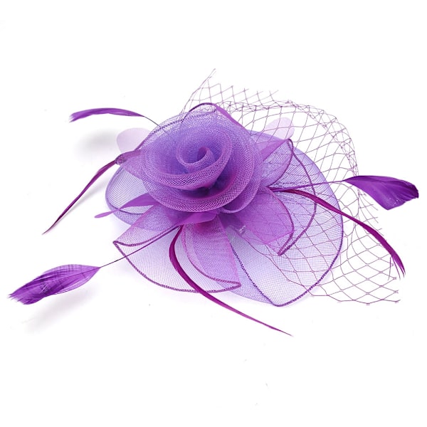 Violetti harsolieri naisille, häihin, lintuhäkki, hiuskoriste, sulkahiusasuste