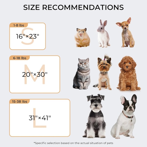 1 Pack 3 Filtar Mjuka Premium Fleece Djurfiltar Flanell Paw Tryckt Pläd för Hund Katt (Small 23x16'', Grå/Brun/Blå)