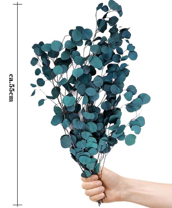 Eucalyptus tørrede blomster, eucalyptus tørrede blomster dekoration